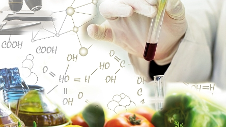 

Eφαρμόζοντας τις θεμελιώδεις αρχές της Μηχανικής Τροφίμων μπορούμε να σας παρέχουμε από μία απλή ανάλυση μέχρι και ολοκληρωμένη μελέτη αλλά και τεχνική συμβούλευση για την δημιουργία βιομηχανικών μονάδων.
μεταποίηση – παραγωγή -τυποποίηση για την δημιουργία ενός τροφίμου.
Όλα αυτά μέσω της ερευνητικής μας ομάδας και την εξειδίκευση που έχει αποκτήσει με την πάροδο του χρόνου από την ενασχόληση της στην βιομηχανία τροφίμων. Μηχανική Τροφίμων, η επιστήμη η οποία αποτελεί τομέα αιχμής για τα τρόφιμα, και περιλαμβάνει τα συστατικά των τροφίµων, τις φυσικοχηµικές, βιολογικές και λειτουργικές τους ιδιότητες, την ποιότητα και ασφάλεια, τα οργανοληπτικά χαρακτηριστικά, τις αλλοιώσεις τους και τη συμπεριφορά τους κάτω από το εύρος των συνθηκών που συναντούν κατά τις διεργασίες παραγωγής και κατά τη συσκευασία και συντήρηση τους.

Σκοπός είναι η µελέτη των ιδιοτήτων των τροφίµων ως πολύπλοκα βιολογικά συστήµατα και ως βιοµηχανικά προϊόντα.
Αναλαμβάνουμε όλα τα βήματα που είναι απαραίτητα για να ολοκληρωθεί μια μονάδα παραγωγής βιομηχανικού επιπέδου παραγωγής.
Άδεια λειτουργίας
Επιλογή ή και κατασκευή μηχανημάτων
Έλεγχο εγκατάστασης μηχανημάτων
Παραγωγή συνταγών
Μεταφορά τεχνογνωσίας και εκπαίδευση προσωπικού
Μελέτη συστημάτων ποιότητας
Εκτέλεση απαραίτητων αναλύσεων
Συνεχής παρακολούθηση για την ορθή λειτουργία
Συμβούλευση για βελτιστοποίηση παραγωγής και νέα προϊόντα
Στοιχείο Λίστας